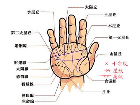 無名指彎向中指|手掌紋路圖解大全